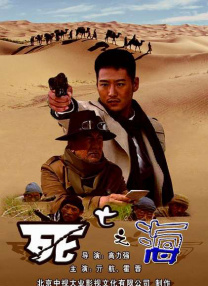 久久精品视频5